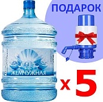 Комплект воды "Жемчужная" 5 шт + помпа в подарок